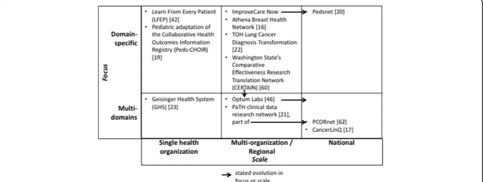 Fig. 1 Sample of current LHSs initiatives categorized by focus and scale [16, 17, 19–23, 42, 46, 60, 62]
