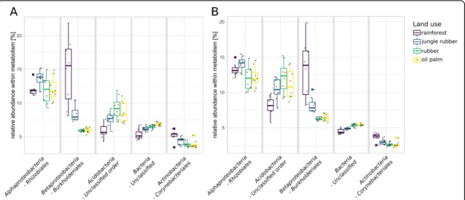 Fig. 8 Relative abundances of the top five detected taxonomic orders within nitrogen (a) and methane metabolism (b) KEGG level 3 categoriesin each land use system are displayed