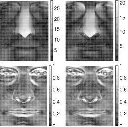 Figure 3.7: Representative examples of the residuals and the ℓaround non-Lambertian surfaces such as eyes and lips and the shadowed areaeach pixel