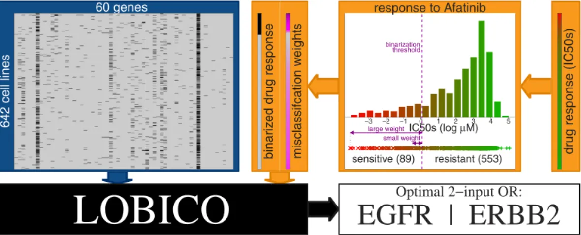 Figure 1.  Workflow of LOBICO. LOBICO has two main inputs: (1) a binary matrix of samples by features  (depicted in the blue box)