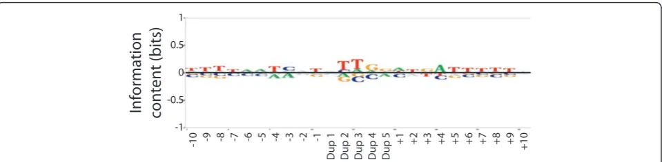 Figure 3 Tn7 does exhibit a very modest bias toward A/T rich sequences. A BLogo sequence logo was generated as in Figure 1, using6,700 Tn7 insertion events from 49 fosmids