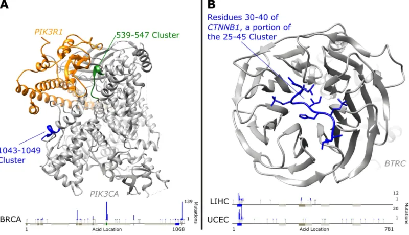 Fig 4. Clusters Highlighted in Protein Structures. A) PIK3CA (gray) bound to PIK3R1 (orange)