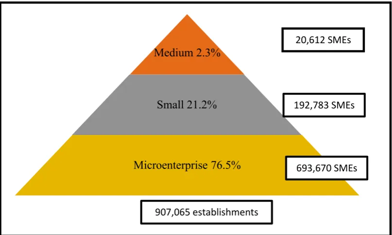 Figure 1.1 SMEs by Size 