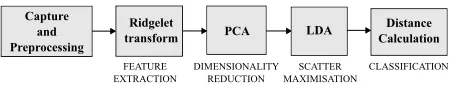 Figure 2: System architecture of the Ridgefaces algorithm for face recognition.