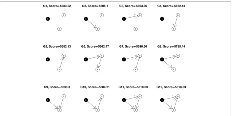 FIGURE 1 | All 12 possible networks for a given (L, E, D) triplet.