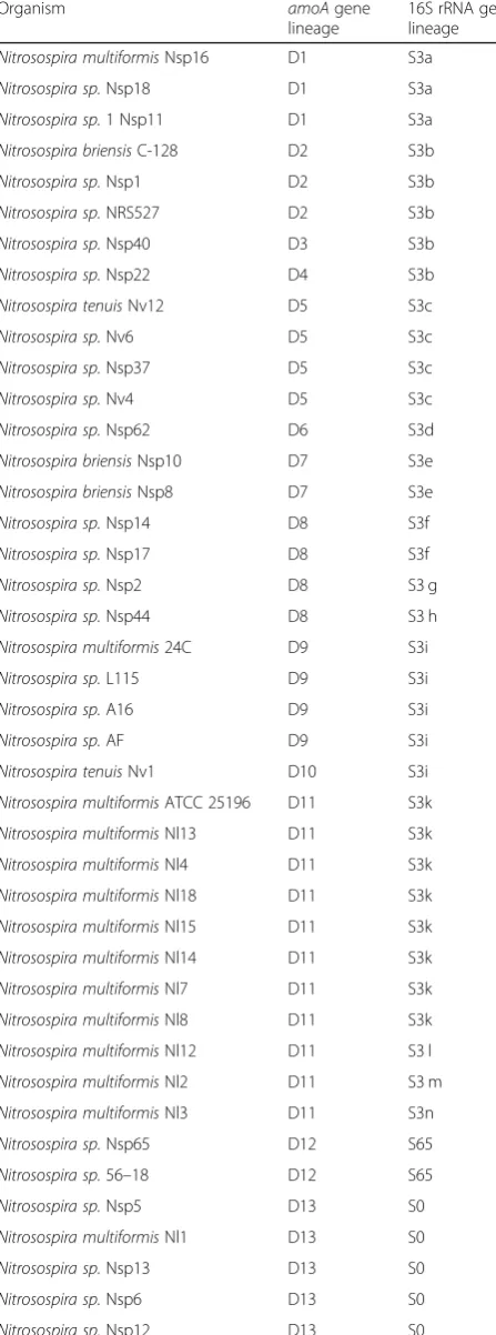 Table 1 Terrestrial Nitrosospira AOB strains used in this studywith related amoA and 16S rRNA gene phylogenetic affiliations(based on the phylogenetic trees presented in Fig