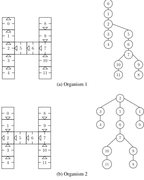 Fig. 6: Graphical representation of organism structures. Although two organismshave very similar 2D planar structures, the orientation difference for robots withID ‘2’ leads to different 3D motion capability for these two organisms, when thoserobots bend their hinge joint.