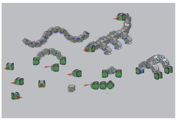 Fig. 1: A vision of the SYMBRION project. Two types of robots, with differentmotion capability but compatible mechanical docking units, are proposed to be de-veloped in the system