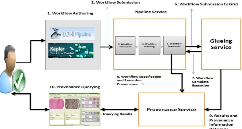 Figure 2:  Provenance Service and Neuroimaging Analysis 