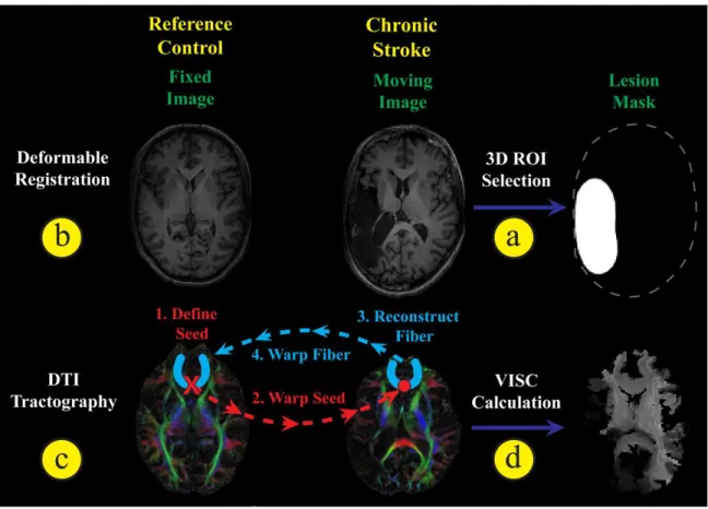 Figure 2-1: Overview diagram of image processing. 