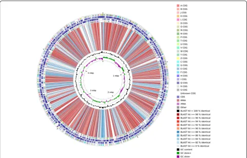 Fig. 5 A graphical circular map of the comparison between strainrings 1, 4 show protein-coding genes colored by COG categories on forward/reverse strand; rings 2, 3 denote genes on forward/reverse strand;rings 5 show the CDS vs CDS BLAST results of strain 