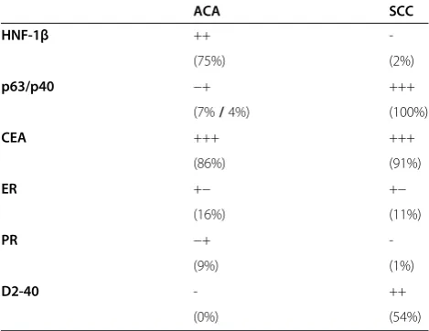 Table 2 Summary of antibodies which can be used indifferential diagnosis of ACA and SCC