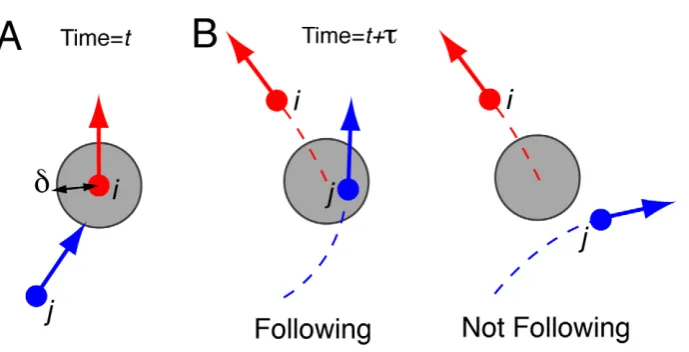 Figure 1. Illustration of the unstable dynamics observed under experimental conditions for one replication with N = 60 pedestrians.