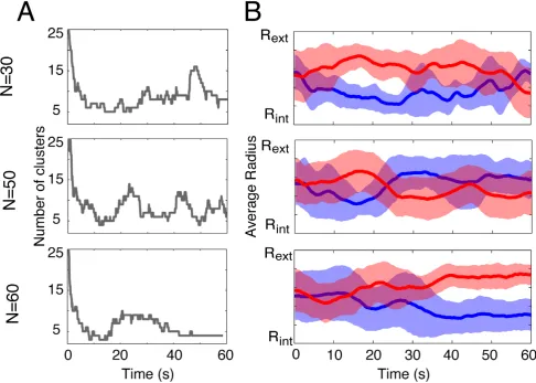 Figure 3. (A) Illustration of the evolution of the number of clusters for three replications with N = 30, 50 and 60 pedestrians
