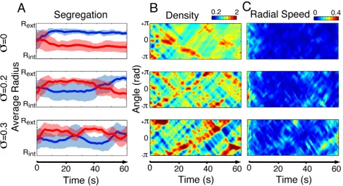 Figure 7. Illustration of the dynamics observed during computer simulations. (A) As speed variability increases fromwhich leads to stronger and more frequent lateral movements (C)