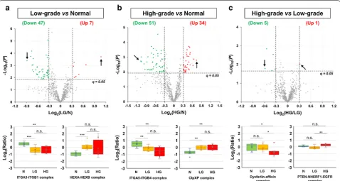 Fig. 4 CORUM protein complexes differentially expressed between the N, LG, and HG groups