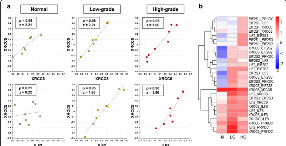 Fig. 5 A representative example showing the differences of specific protein pairs in the DNA-PK-Ku-eIF2-NF90-NF45 protein complex across the three sample groups