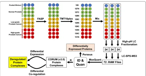 Fig. 1 Workflow for quantitative proteomic comparison of three groups of prostate tissue specimens (i.e., normal control, low-grade PCa, and high-grade PCa) using TMT-SPS-MS3