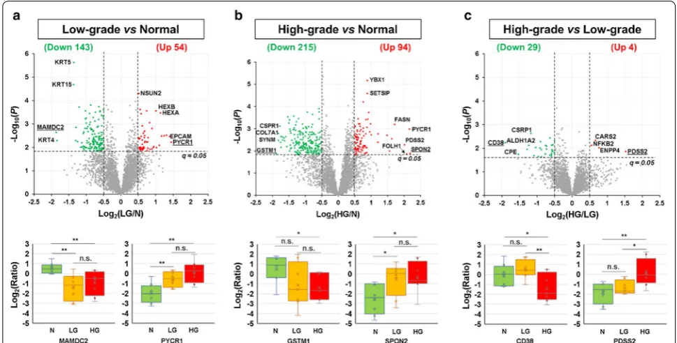 Fig. 2 Identification of differentially expressed proteins between the N, LG, and HG groups