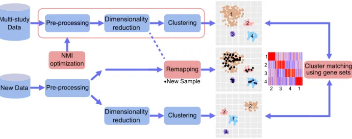 Figure 1. Data integrative analysis workflow. The schematic illustration depicts a typical data-driven analysis workflow and the data integrative approach for multi-study and multi-platform datasets developed here