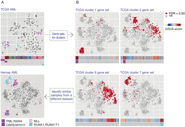 Figure 4. Evaluation of disease subtypes across datasets. Comparison of sample clustering on the t-SNE maps for TCGA AML RNA-seq samples (N