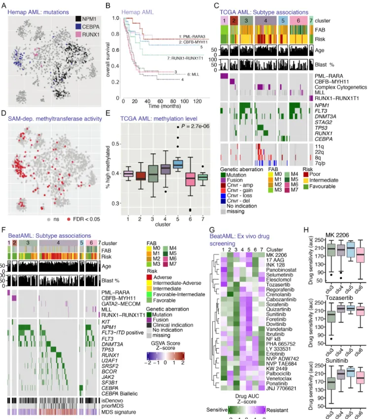 Figure 5. Multilevel data integration reveals AML molecular subtypes with distinct mutation and epigenetic phenotypes