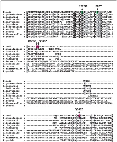 Figure 5 Multiple sequence alignment of TnsD proteinshttp://www.ebi.ac.uk/t-coffee) showing the isolated dominant-negative mutants with reference to