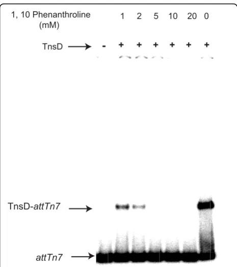 Table 2 Targeted mutations to the conserved CCCHresidues in TnsD eliminates Tn7 transposition and TnsD-attTn7 binding