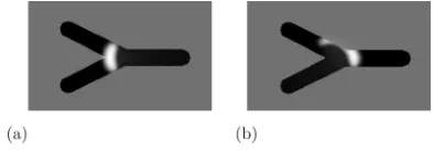 FIG. 3. Simulation of a fork structure in BZ excitable media.