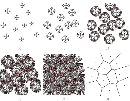 Figure 6. Simulated approximation of Voronoi diagram. (a–e) Snapshotsof the simulated dynamics of branching LC ﬁngers