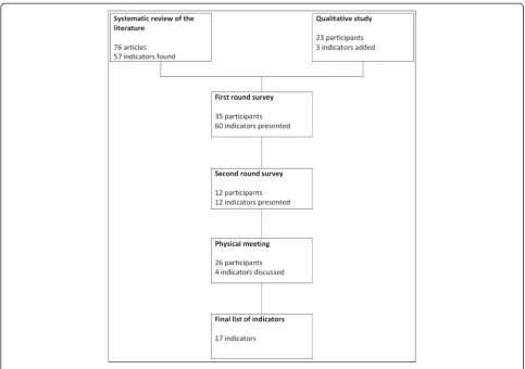 Figure 1 Indicator development and selection process.