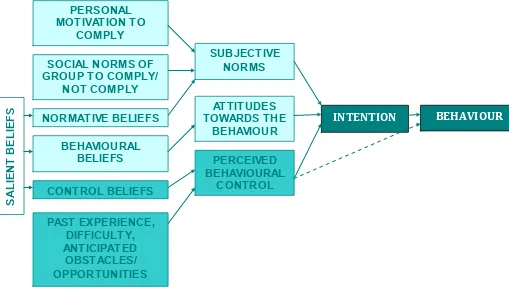Figure 6-1 The Theory of Planned Behaviour (Ajzen, 1991) 