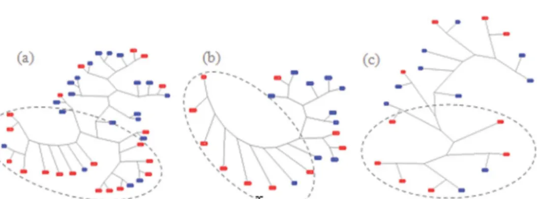 Figure 5. Clustering based on Levenshtein distances and the average linkage clustering