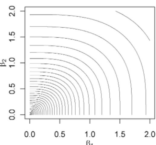 Figure 7: Constraint region for β = ( β 1 , β 2 ) 0 from the same penalization group.