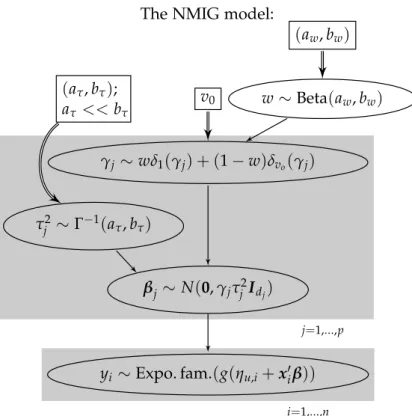 Figure 1: Directed acyclic graph for the NMIG model.