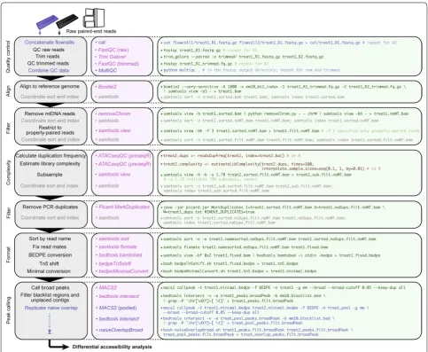 Fig. 4 Generalized ATAC-seq data processing workflow intended for comparative analysis