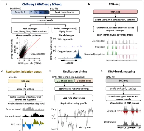 Fig. 1 Application and benchmarking of BAMscale on different sequencing datasets. a Scaled coverage track generation and peak quantification of ChIP‑seq and ATAC‑seq data