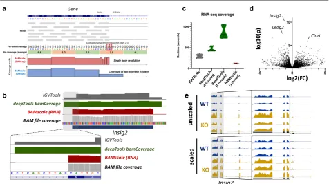 Fig. 3 Re‑analysis of RNA‑seq data. a Overview of BAMscale RNA‑seq mode. Coverage resolution is switched to single‑base resolution in bins where adjacent base coverages exceed 4 reads