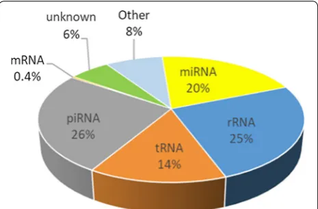 Fig. 1 sRNA content of bull sperm. miRDeep2 was used to identify miRNAs, and the remaining reads were annotated (e.g., as rRNA, tRNA, piRNA) using several sncRNA databases