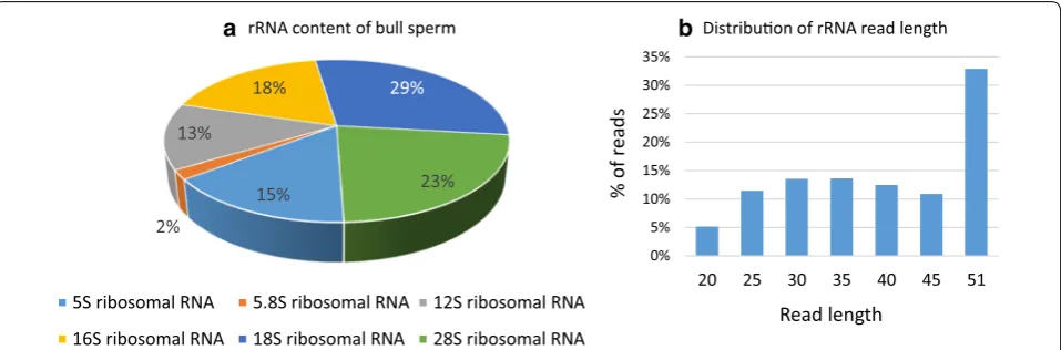 Fig. 2 Bull sperm rRNA content. The proportion of reads annotated for different rRNAs is shown (a) as well as the distribution of read length (b)