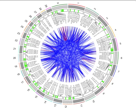 Fig. 6 Circos plot depicting correlations between miRNAs. Chromosomes are indicated on the first outer track