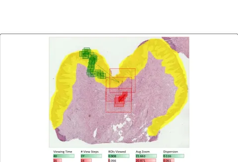 Figure 3 Visualization steps for a question containing a WSI with benign reactive keratosis
