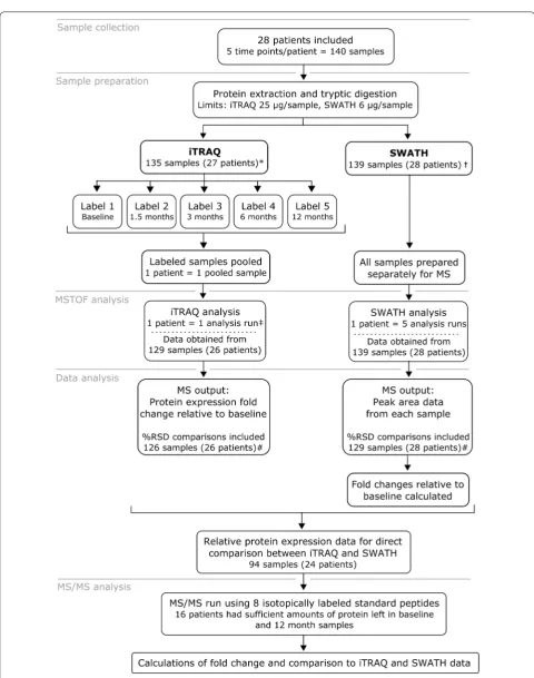 Fig. 1 Illustration of study outline, different analyses completed in the study and sample amounts