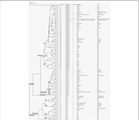 Fig. 1 Cluster analysis by MLVA11 genotyping of the 600 Brucella strains from 1953 – 2013 in China