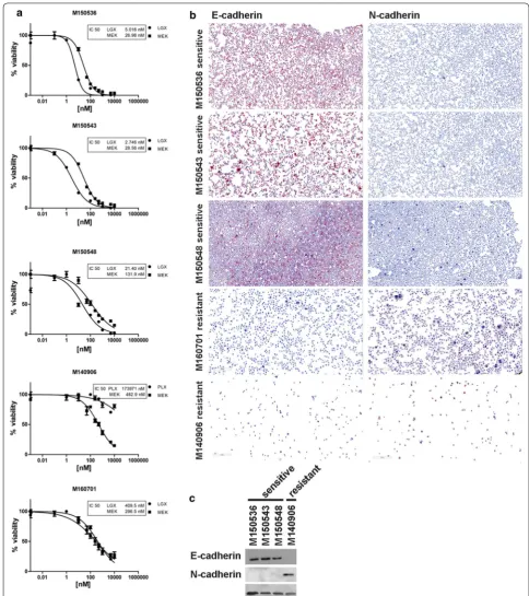 Fig. 5 Primary melanoma cell cultures derived from cerebral metastases. Stratification of the samples by proliferation and viability assay and calcu-lation of the IC50 for BRAF/MEK inhibitors (a)
