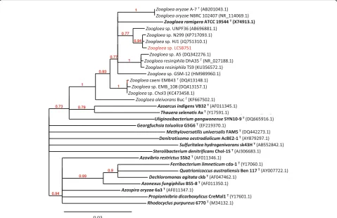 Fig. 2 Phylogenetic tree based on 16S rRNA gene sequences. The type species strains of every species of the(in bold) as well as all the type strains of the genushttp://www.bacterio.net)