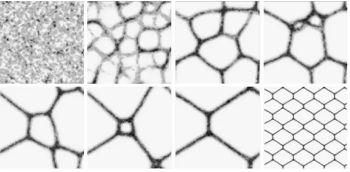Fig. 3 Spontaneous formation and dynamical evolution of transport networks. Lattice 200RA45 9 200, %p15,�, SA22.5�, SO 9