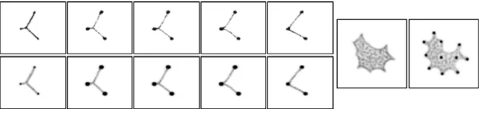 Figure 9network branching and minimising the network by surface tension effects. It should benoted that the network conﬁgurations shown in the image snapshots pertaining to thetraversal of the Toussaint hierarchy are transient in nature and part of a conti