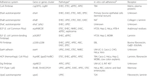 Table 6 Adherence systems encoded by the E. coli BG1 genome