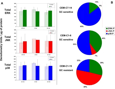 Figure 2A depicts the immunochemical reactions forphosphorylated MAPKs in GC-sensitive CEM-C7-14 andDex